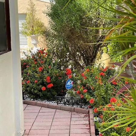 Comfy Queen Bed Studio, Downtown West Palm West Palm Beach Exterior photo